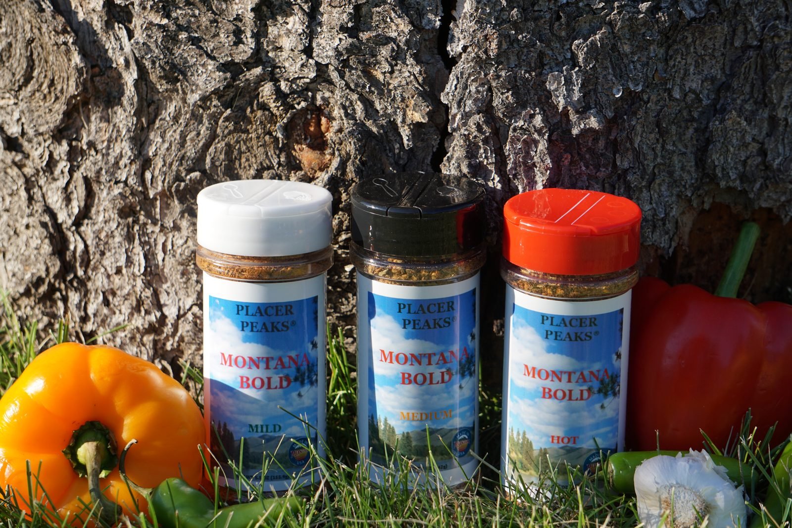 Montana Bold Rub - Medium - Image 2